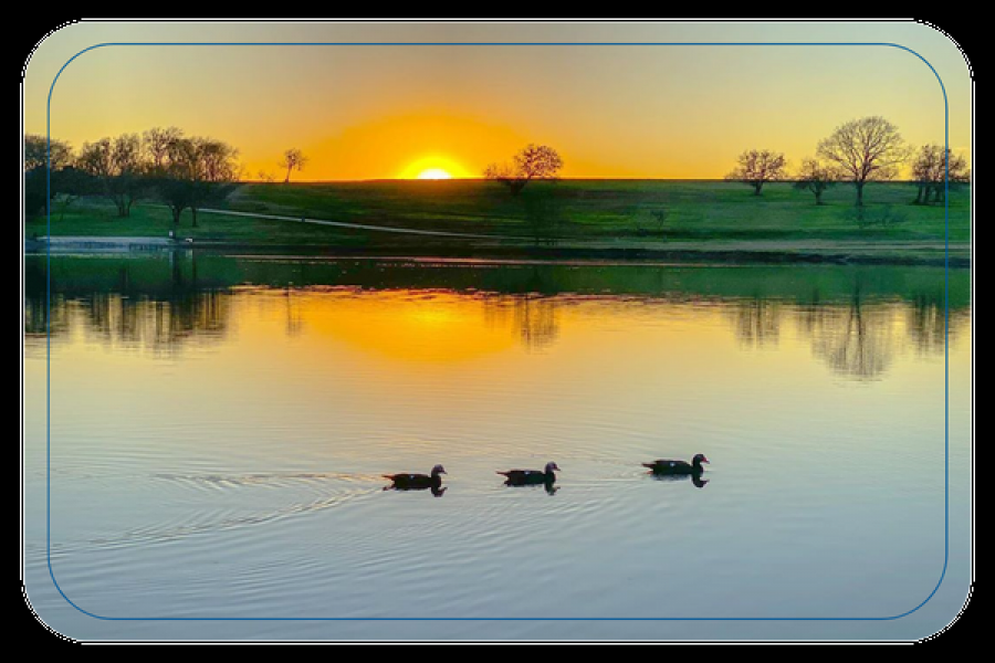 Cedar Creek Lake waterfront homes